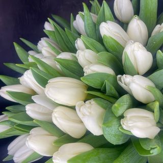 Тюльпан по штучно