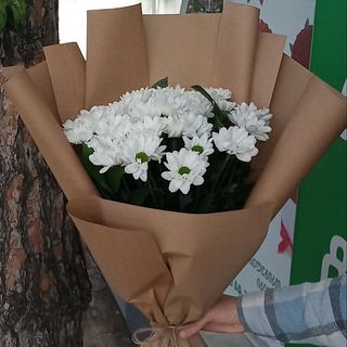 ქრიზანთემების თაიგული კტაფტში 