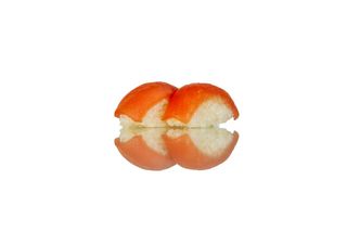 Nigiri tonno