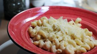 PASTA CAVATAPPI FREDO