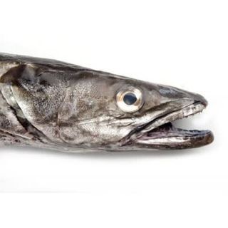 Pescadilla Pincho Gallega