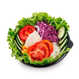 FIT SALATA