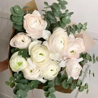 Creamy Spring  