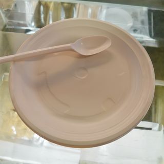 Plate 1. and spoon 1. plastic