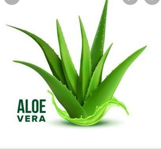 Aloevera juice