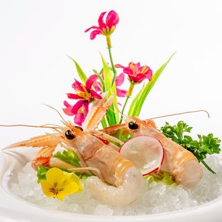 53.scampi emulsion 4pz