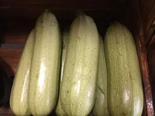 Тиквичка