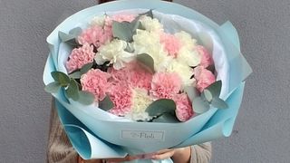 Bukiet biało-różowych goździków- 25 sztuk