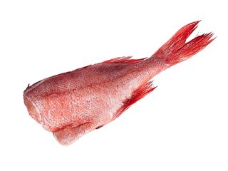 Морський окунь