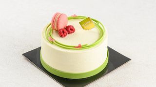 Моне Фисташка Малина (1,1 кг)