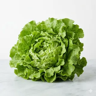 Gentilina 1 pezzo