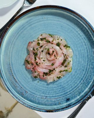 Carpaccio del giorno, citronette al basilico e limone candito