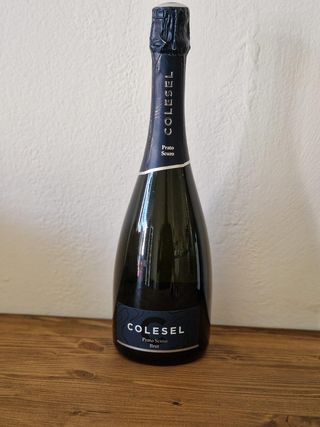 Colesel Prosecco Valdobbiadene Prato Scuro Brut D.O.C.G 75 cl