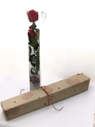Rosa Eterna