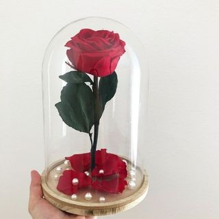 CUPULA DE ROSA ETERNA