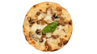 Sottobosco