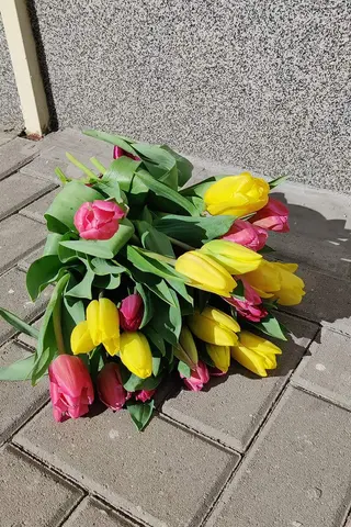 55 Лалета