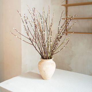 Ramo de flor de sauce. 20 baras