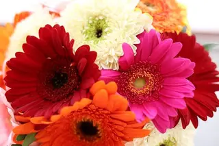Bouquet di Gerbere
