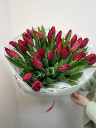 31 червоний тюльпан