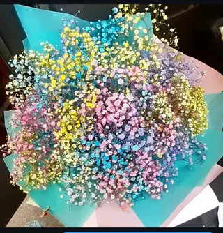 Ramo Paniculata Tintada