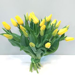 Tulipany żółte 25 szt