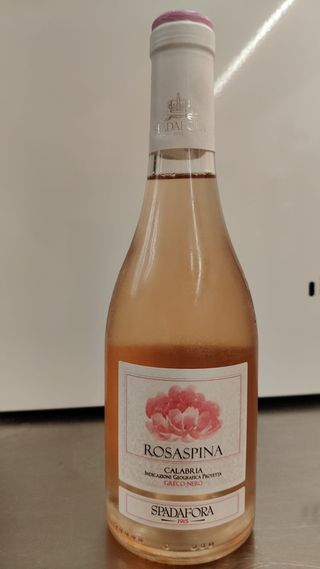 Vino Rosaspina Calabria