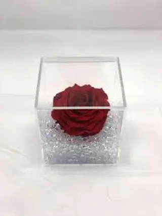 Rosa stabilizzata rossa S