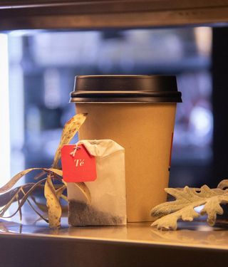 Infusiones (120 Ml.)