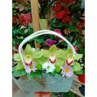 Torbica sa 3 orhideje zelene