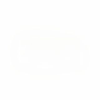 Crispy Chicken Burger (300gr)