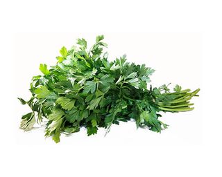 Persil & Coriandre - Botte 