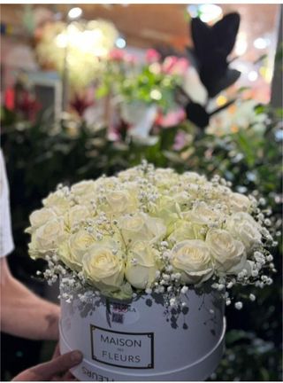 ჯუმელია ვარდები, სიმაღლე 70-90 სმ ჰოლანდია