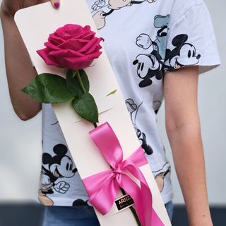 Trandafir Artizan Fucsia A