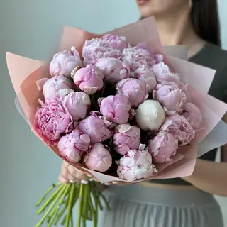 25 piwonii