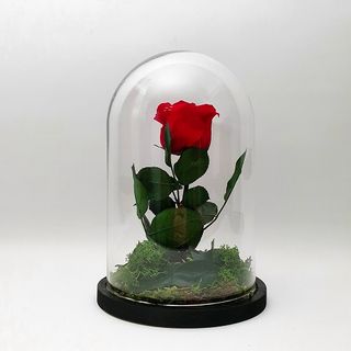 Cúpula Grande Rosa Roja