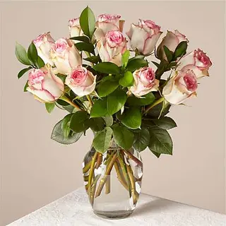 Docena Rosas Rosas
