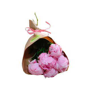 Peónias Rosa