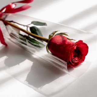 Rosa Solitária "Amor Único"