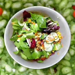 Fitness salata