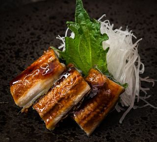 Sashimi Unagi