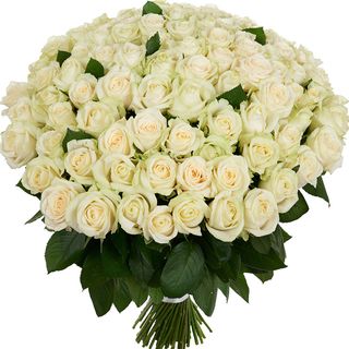 101 біла троянда