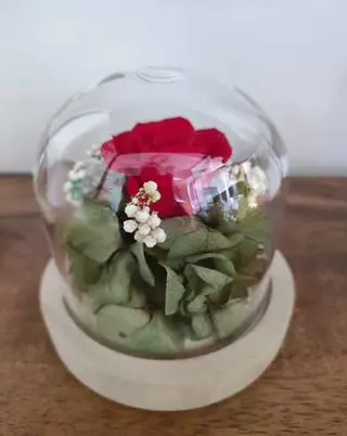 Rosa Eterna Roja Pequeña
