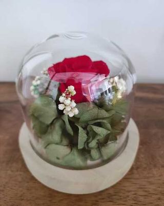 Rosa Eterna Roja Pequeña