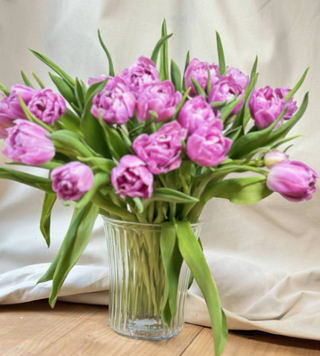 Ramo De Tulipanes Rosa