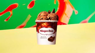 Belgian Chocolate 460ml