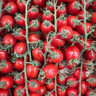 Pomodoro datterino 500 g