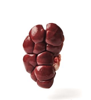 Riñon De Ternera 500 Gr