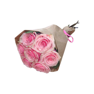 Rosas Rosa