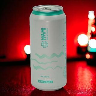 Acqua Wami Naturale 0,5